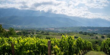 Il vino d’Abruzzo alla conquista degli Usa: dopo il premio a San Francisco masterclass a Las Vegas