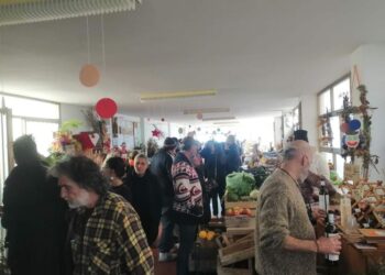 Al Mercato Scoperto scambio dei semi e Festa dell’Albero con Legambiente e le associazioni del territorio