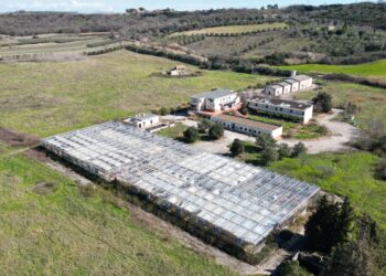 Il Cotir (sempre più devastato) può rinascere: ecco come