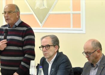 Domenico Bologna (Fim Cisl): «Dubbi sulle future vendite del furgone elettrico»