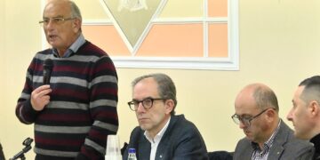 Domenico Bologna (Fim Cisl): «Dubbi sulle future vendite del furgone elettrico»