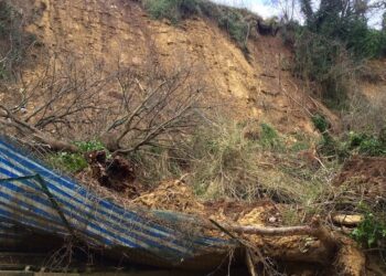 Otto anni fa la frana nel canile, oggi tutto è come allora