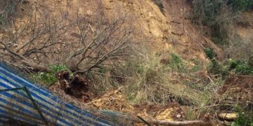 Otto anni fa la frana nel canile, oggi tutto è come allora