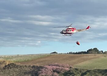 Incendio a Montevecchio: le fiamme spente dai vigili del fuoco con squadre a terra ed elicottero