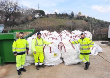Torino di Sangro, raccolti 10 quintali di imballaggi di fitofarmaci per agricoltura