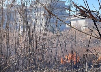 Rogo nella Riserva Marina di Vasto, vigili del fuoco evitano il peggio