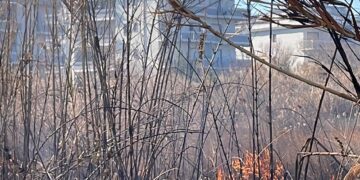 Rogo nella Riserva Marina di Vasto, vigili del fuoco evitano il peggio