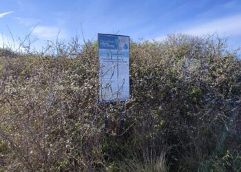 Quando la storia viene ignorata