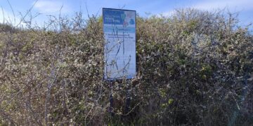 Quando la storia viene ignorata