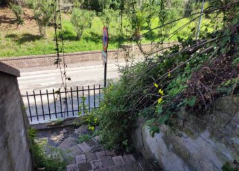 Vasto Marina, la scalinata di via Paisiello è una giungla vicino alla terra di nessuno
