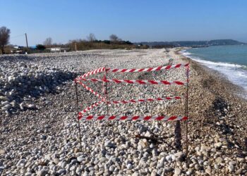 Residuato bellico trovato in spiaggia a sud del Sangro, avviate le operazioni per il recupero
