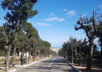Dopo un mese e mezzo riapre la villa comunale di Vasto