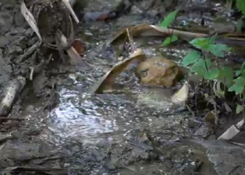 Una notizia in un minuto. Vasto, quanta acqua sprecata