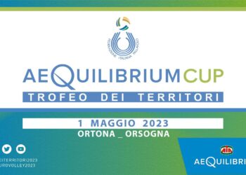 All’Aequilibrium Cup il meglio della pallavolo regionale