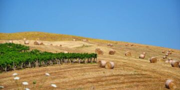 Agricoltura, il 20 aprile a Pollutri incontro sui bandi 2023-2027