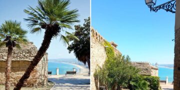 Rimosse le palme di uno degli angoli più fotografati di Vasto, «Non erano sicure»