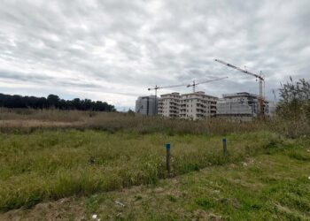 Sulla Particella 18 l’interesse di una società spagnola, «Trattativa finita in un nulla di fatto»