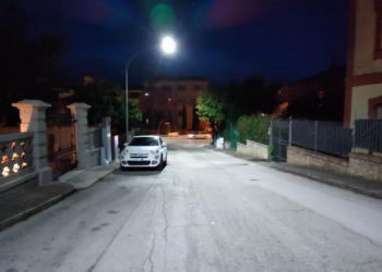 Ancora bocconi avvelenati a Vasto Marina: muore un altro cane