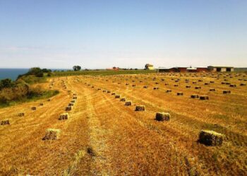 Giro d’Italia e turismo, «la prima prenotazione è arrivata durante la corsa»