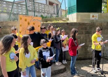 Un Bee Hotel per salvare le api e gli insetti impollinatori