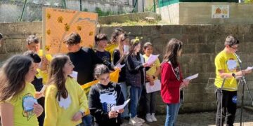 Un Bee Hotel per salvare le api e gli insetti impollinatori