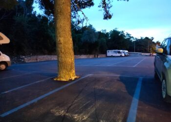 Nuovo look per le aiuole del lungomare: prato al posto delle pietre