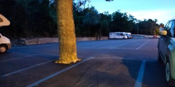 Nuovo look per le aiuole del lungomare: prato al posto delle pietre