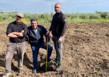 «Tutto il raccolto distrutto e il bestiame ucciso», agricoltori pronti alla protesta