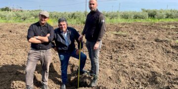 «Tutto il raccolto distrutto e il bestiame ucciso», agricoltori pronti alla protesta