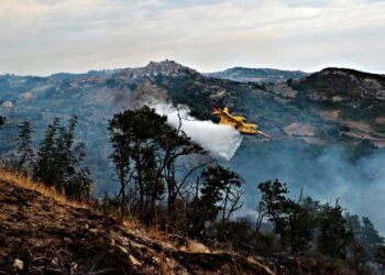 Incendi, vertice in prefettura per ridurre i tempi di intervento