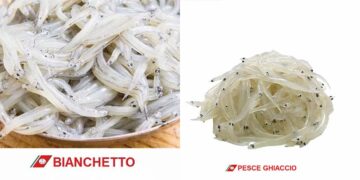 Pesce ghiaccio spacciato per “bianchetto”: denunciato un ristoratore