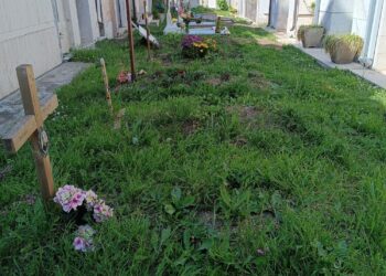 FdI: «Stop a sepolture a terra precarie e con croci provvisorie»