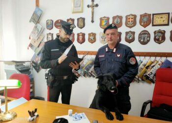 Ventidue dosi di cocaina in un calzino: arrestato 33enne di Casalbordino