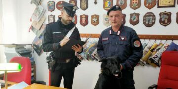 Ventidue dosi di cocaina in un calzino: arrestato 33enne di Casalbordino