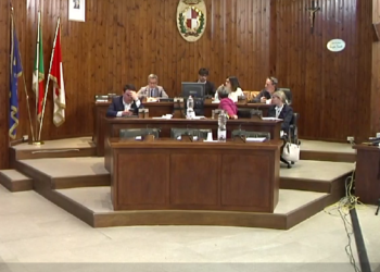 Dissuasori, abbattimenti e gabbie contro la fauna selvatica in città