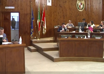 Dissuasori, abbattimenti e gabbie contro la fauna selvatica in città