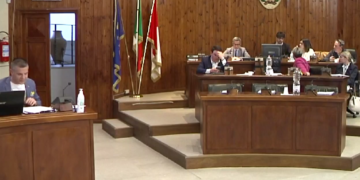 Dissuasori, abbattimenti e gabbie contro la fauna selvatica in città