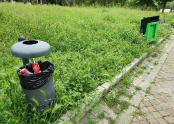 «Erba altissima nel parco e con le aiuole incolte, camminare è uno slalom»