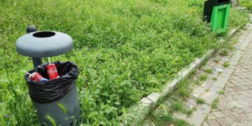 «Erba altissima nel parco e con le aiuole incolte, camminare è uno slalom»