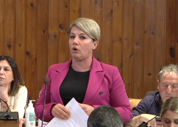 Dissuasori, abbattimenti e gabbie contro la fauna selvatica in città