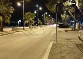 Cane selvatico aggredisce due bambini a Vasto Marina, interviene il 118