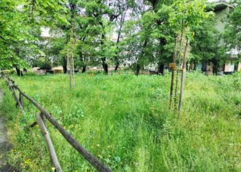 «Alberi del parco Jones in salute, auspichiamo maggiore condivisione d’intenti»