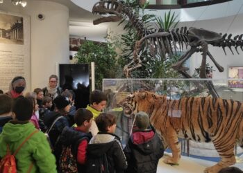 Gli studenti del “Rodari” alla scoperta della preistoria