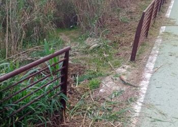 Vandali sulla Via Verde: rimosso un tratto di ringhiera, bacheche abbattute