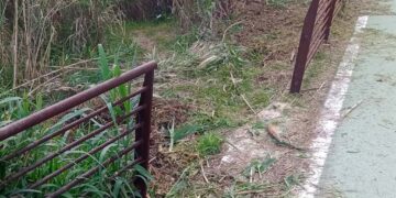 Vandali sulla Via Verde: rimosso un tratto di ringhiera, bacheche abbattute