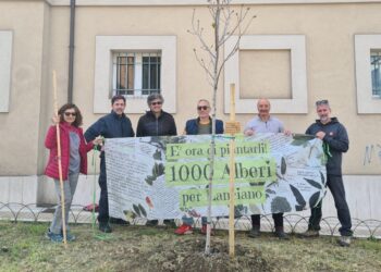 Un anno e mezzo, 123 nuovi alberi piantati