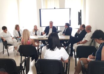 Schael: «Basta menzogne sull’ospedale di Vasto»