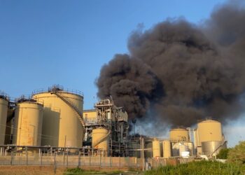 Colonna di fumo su Punta Penna: incendio alla Ecofox spento dai vigili del fuoco