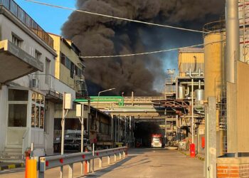 Colonna di fumo su Punta Penna: incendio alla Ecofox spento dai vigili del fuoco