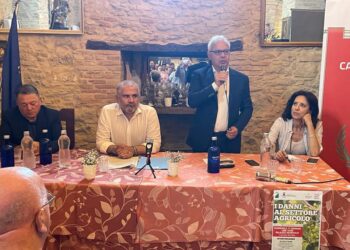 Raccolti rovinati dal maltempo, Bocchino (Lega): programmiamo interventi strutturali